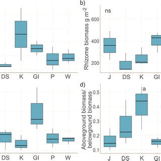 Seagrass Biomass Boxplots N 3 By Site Where J Jervoise DS