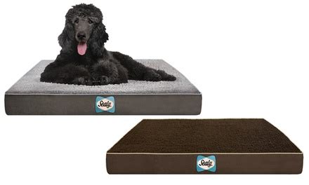 Sealy Large Sherpa Dog Bed | Groupon