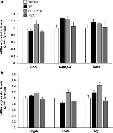 Palmitoylethanolamide Counteracts Substance P Induced Mast Cell