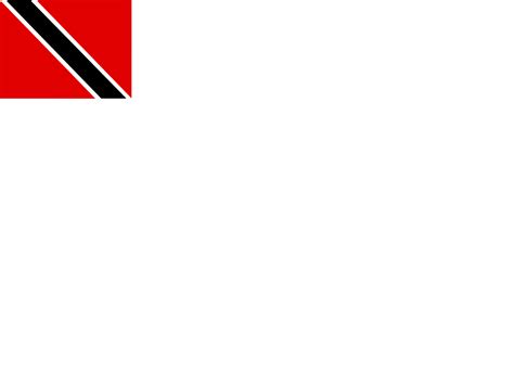 Trinidad Tobago Logo