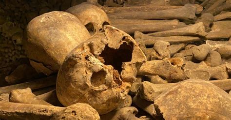 Parijs Catacomben Tour In Kleine Groep Met Voorrangstoegang GetYourGuide