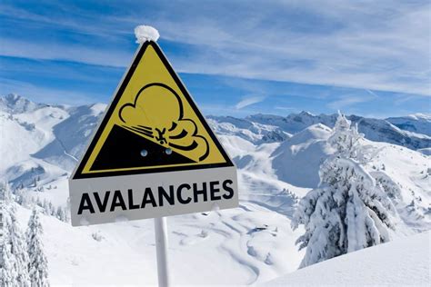 Top 5 Best Avalanche Beacons of 2024 • The Adventure Junkies