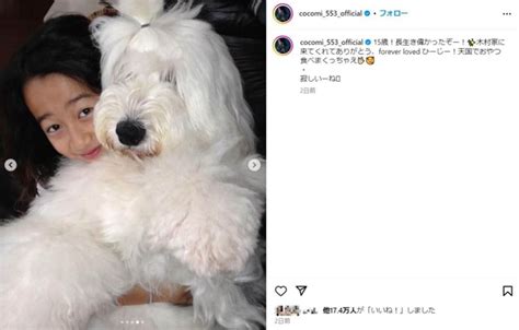 木村拓哉＆工藤静香の娘cocomiとkoki，愛犬との別れ報告 「木村家に来てくれてありがとう」「長生き偉かったぞー！」 J Cast