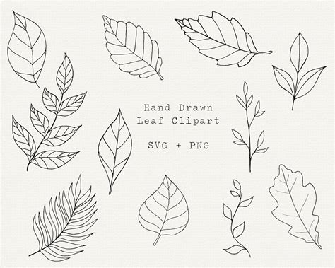 Black Leaf Studios Clipart Sun