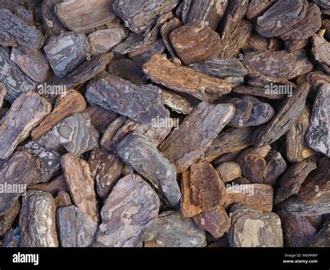 Large Detailed Bark Pieces Background Photograph Naturally Textured