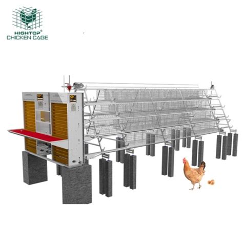 Automatic A Type Battery Layer Chicken Cage System With Feeding Machine