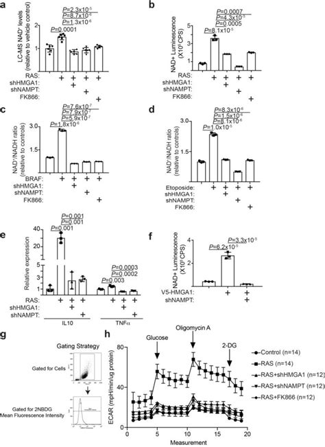 Oncogene And Therapy Induced Senescence Display Increased NAD NADH