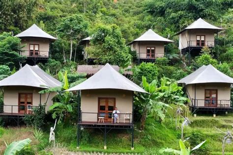 Hidden Gem Di Bogor Pakarangan Glamping Resort Hadirkan Staycation