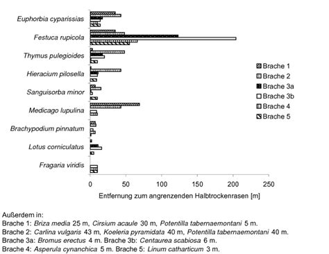 Abb Maximale Entfernung Ausgew Hlter Festuco Brometea Arten In