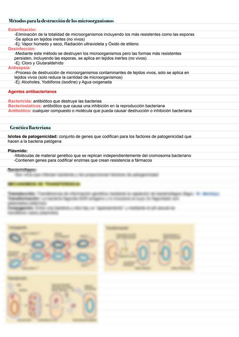 SOLUTION Notas Microbiolog A Bacterias Studypool