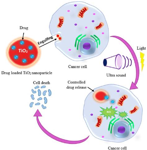 The Schematic Representation Of The TiO 2 Nanocarrier Based Stimuli