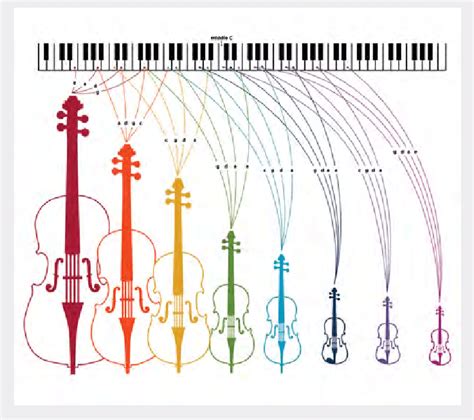 Bowed String Instruments Of Various Sizes And Tuned Across A Piano