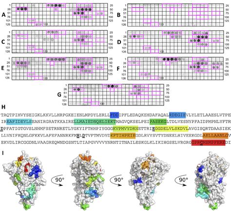 Determination Of Linear B Cell Epitopes And Immunogenic Peptide Mapping