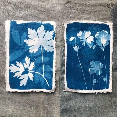 Jacquard Cyanotype Sensitizer Set Zestaw Do Cyjanotypii Maluje Pl