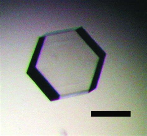 Iucr Crystallization And Preliminary X Ray Crystallographic Analysis