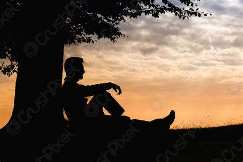 Hombre silueta sentado bajo el árbol con libro en d foto de stock