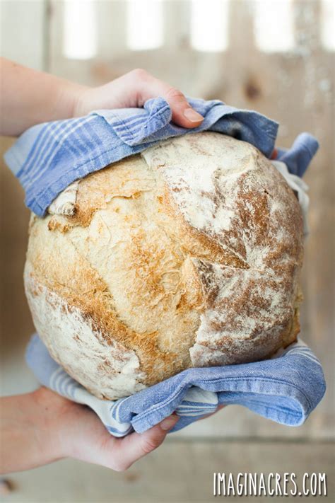 10 Tips for Baking Bread at Home - ImaginAcres