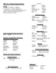 AHS 102 Ch 2 Body Organization Worksheet Docx AHS Ch 2 Body