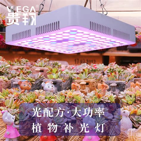 贵翔植物生长灯全光谱led仿太阳光月季大棚灯室内多肉补光灯上色虎窝淘