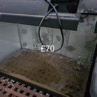 Litre Fish Tank For Sale In Uk Used Litre Fish Tanks