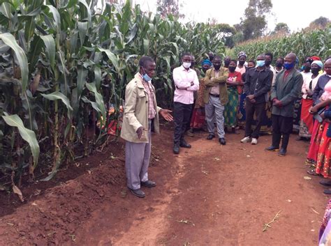 Evangelical Association Malawi To Promote Mbeya Manure Among Farmers Malawi Nyasa Times News