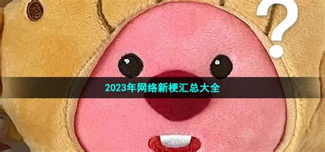 2023年网络新梗有哪些 2023网络梗大全及解释汇总一览 牛特市场