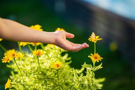 La Mano De Un Ni O Toca Una Flor En Un Macizo De Flores Cuidar El Medio