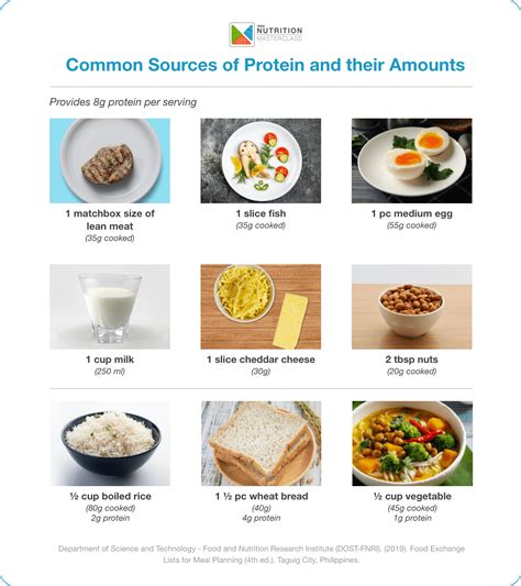 Protein Sources in Food | Articles | Nutrition Masterclass