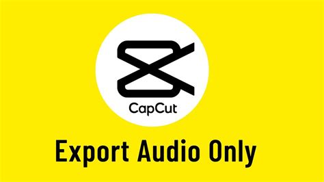 How To Export Audio Only In Capcut Pc Youtube