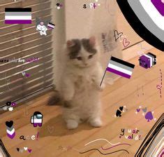 400+ Standing cat meme ideas in 2021 | cat icon, cat memes, cat stands