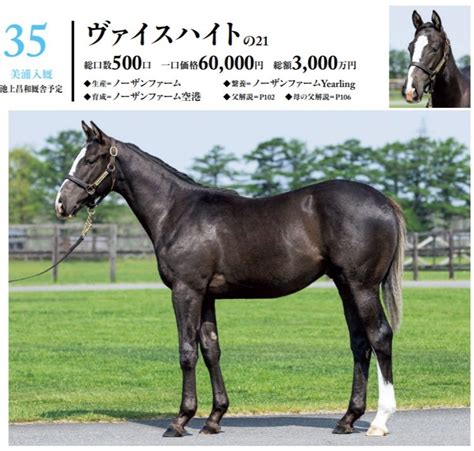 シルク2022年度募集馬分析【31～43】 バッタの一口馬主データ分析室