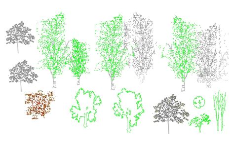 Autocad Tree Blocks