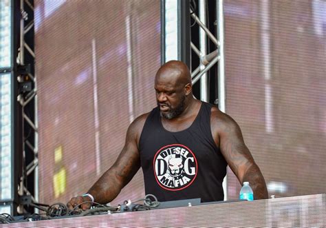 DJ Diesel Live at Lollapalooza [GALLERY] - Chicago Music Guide