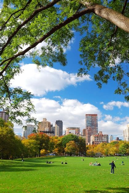 Central Park Di New York City Foto Gratis