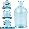 Amazon Mdluu Pack Glass Bud Vase Apothecary Bottle Vase