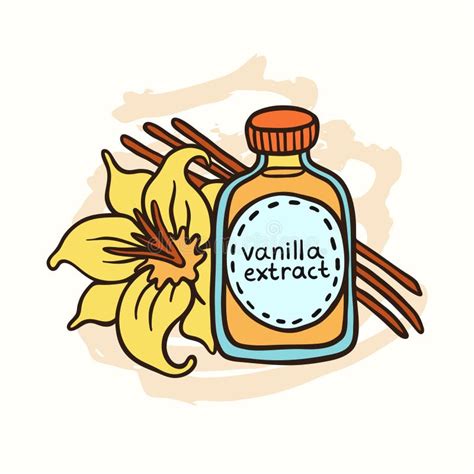 Vanilla Extract Stock Illustrations 961 Vanilla Extract Stock