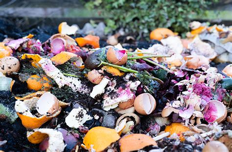 An Overview Of Organic Waste Management Challenges And Prospects