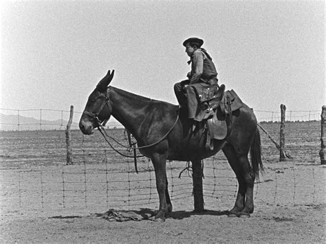 Ma Vache Et Moi Le Film Favori De Buster Keaton En Blu Ray Et DVD