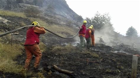 Chile Forest Arson Suspect Denies He Set Fire Cbc News