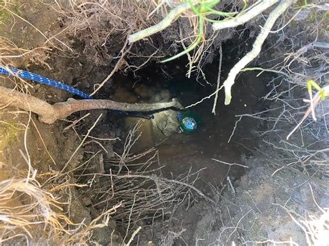 Dog Rescued From Confined 15 Foot Hole Newsweek