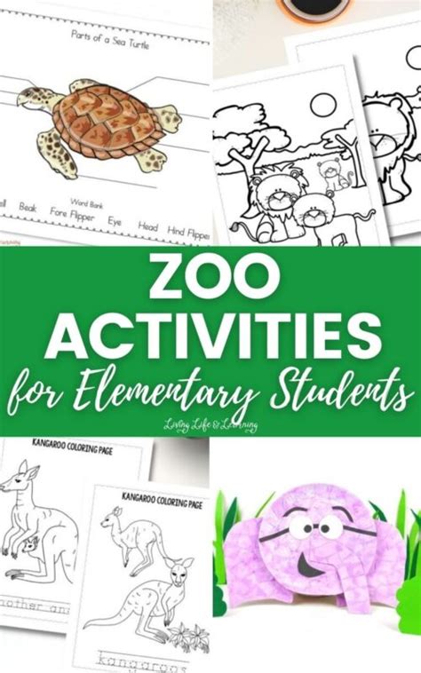 Zoo Activities for Elementary Students