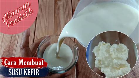 Cara Membuat Susu Kefir Dengan Bibit Kefir Grain Dan Susu Uht Youtube