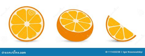 Oranges with Orange Slice and Half Orange. Citrus Stock Vector - Illustration of cross, abstract ...