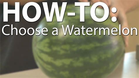 How To Choose The Perfect Watermelon YouTube