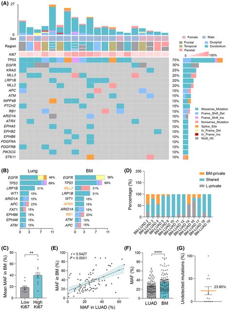 Somatic Mutations In Primary Luad And Bm A Mutational Landscape Of