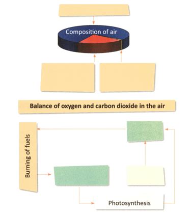 Composition of Air Contains Questions With Solutions & Points To Remember