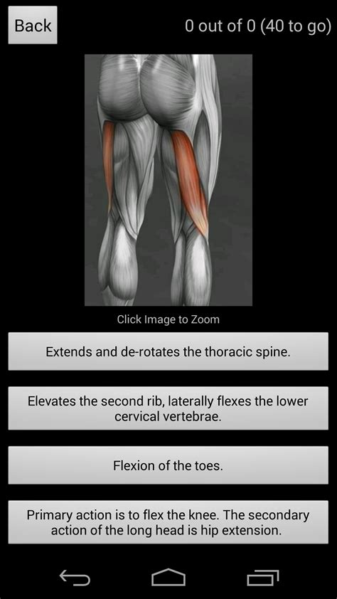 Learn Muscles: Anatomy:Amazon.ca:Appstore for Android