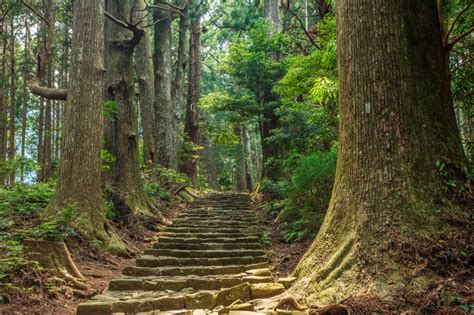 Kumano Kodo Pilgrimage Trail: The Complete Guide