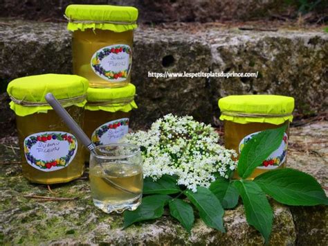 Gelée de fleurs de sureau noir Recette par Les petits plats du Prince