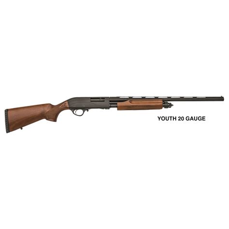 LSI Hatsan Escort, Pump-action, 20 Gauge, 26" Barrel, 4-round Round ...